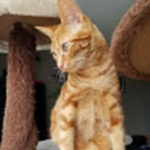 Meet your Posher, Trinity